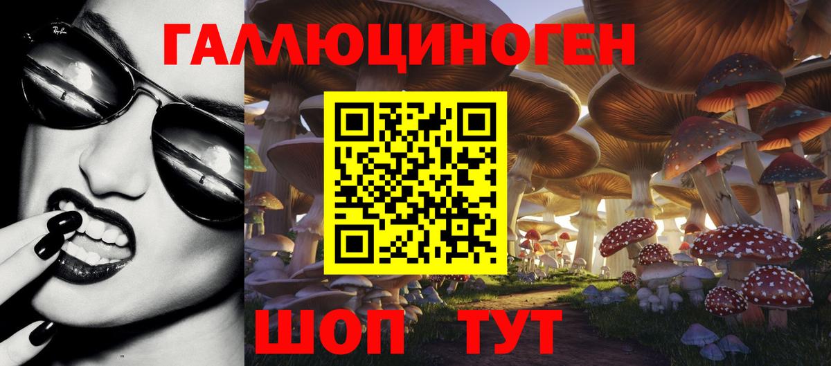 Псилоцибиновые грибы Psilocybine cubensis Азнакаево