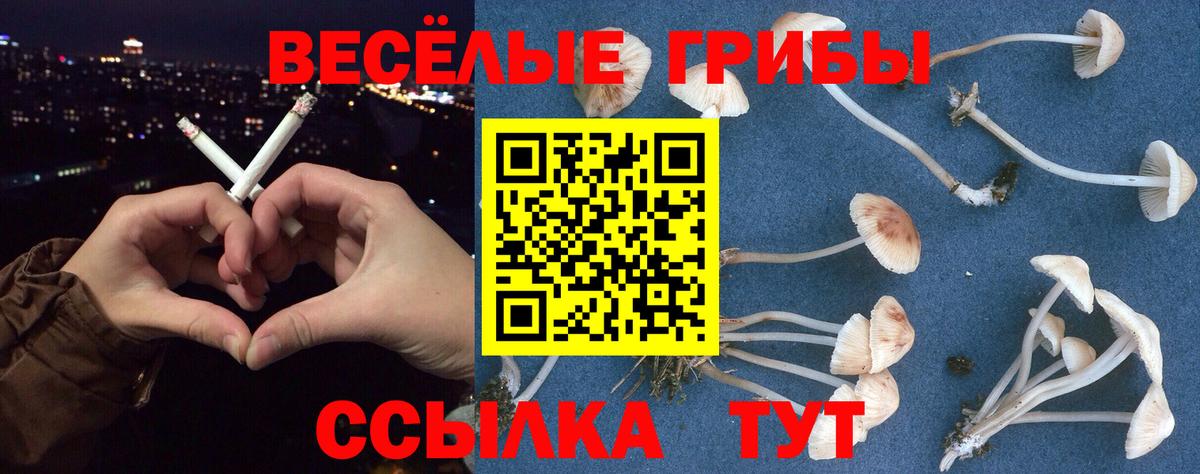 Галлюциногенные грибы прущие грибы  Вход с VPN  Азнакаево 
